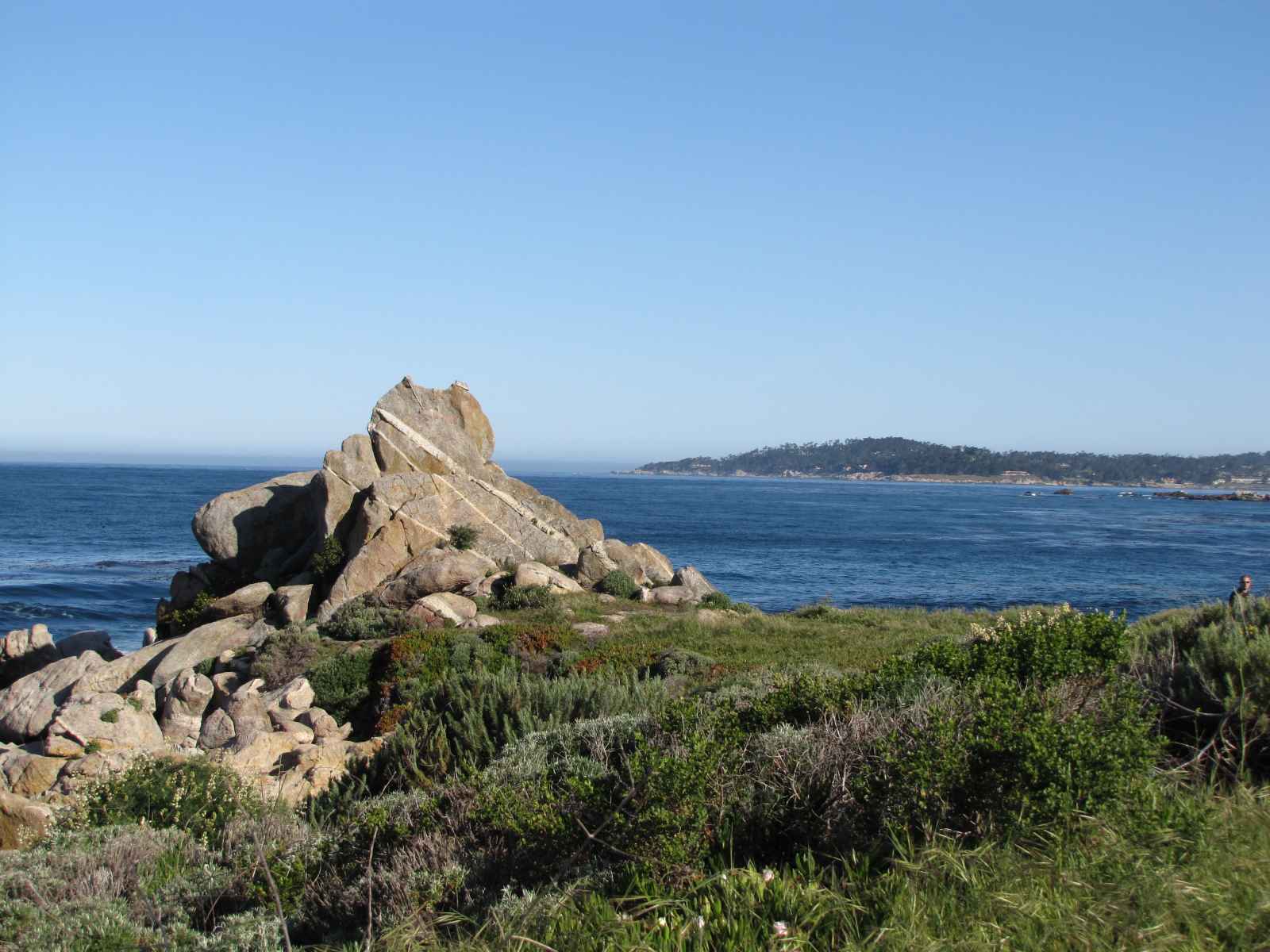 Carmel River State Beach